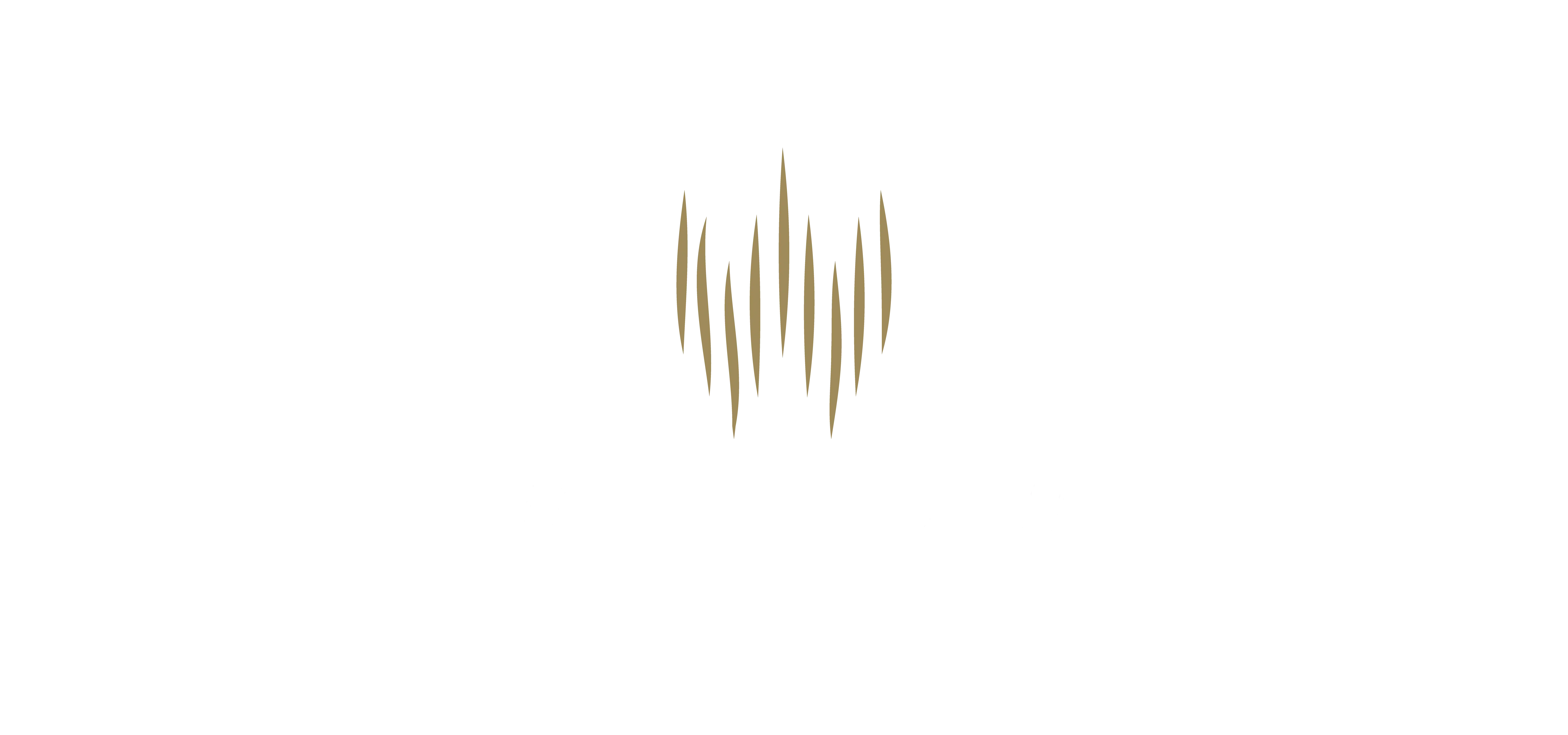 WILLOW Hotel Brand Guidelines WILLOW Hotel Brand Guidelines